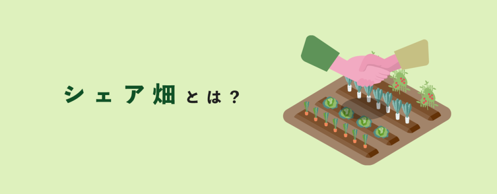 シェア畑とは?